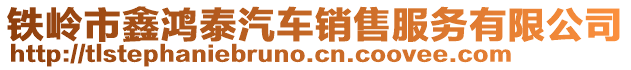 鐵嶺市鑫鴻泰汽車銷售服務有限公司