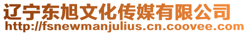遼寧東旭文化傳媒有限公司