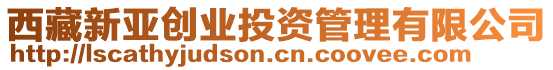 西藏新亞創業投資管理有限公司