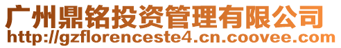 廣州鼎銘投資管理有限公司