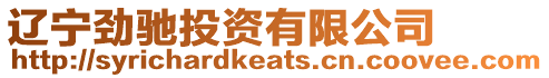 遼寧勁馳投資有限公司