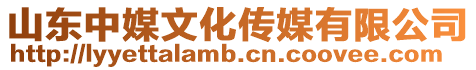 山東中媒文化傳媒有限公司