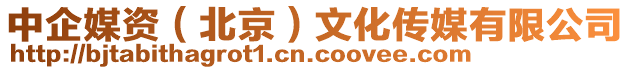 中企媒資(北京)文化傳媒有限公司