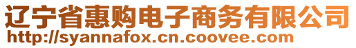 遼寧省惠購(gòu)電子商務(wù)有限公司