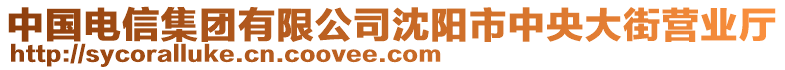 中國電信集團有限公司沈陽市中央大街營業(yè)廳