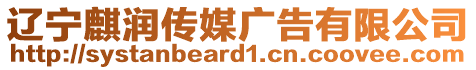 遼寧麒潤傳媒廣告有限公司