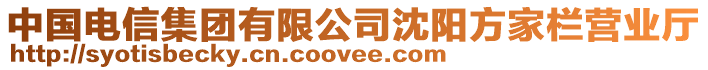 中國電信集團有限公司沈陽方家欄營業廳