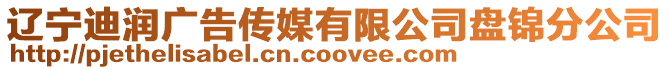 遼寧迪潤廣告?zhèn)髅接邢薰颈P錦分公司