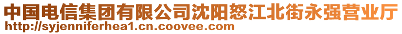 中國電信集團有限公司沈陽怒江北街永強營業廳
