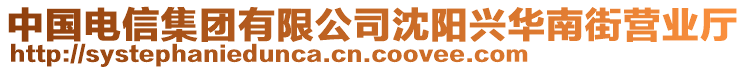 中國電信集團(tuán)有限公司沈陽興華南街營業(yè)廳