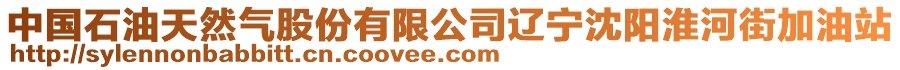 中國(guó)石油天然氣股份有限公司遼寧沈陽淮河街加油站