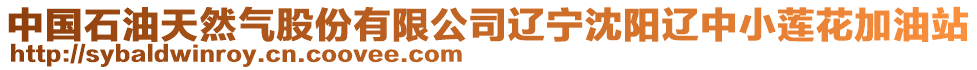 中國(guó)石油天然氣股份有限公司遼寧沈陽(yáng)遼中小蓮花加油站
