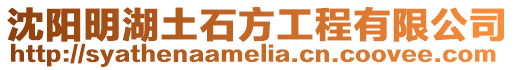 沈陽明湖土石方工程有限公司