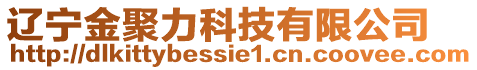 遼寧金聚力科技有限公司