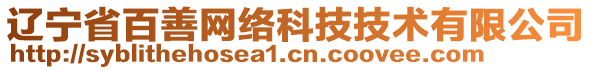 遼寧省百善網(wǎng)絡(luò)科技技術(shù)有限公司