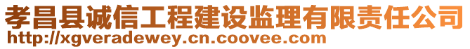 孝昌縣誠信工程建設(shè)監(jiān)理有限責(zé)任公司