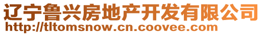 遼寧魯興房地產(chǎn)開發(fā)有限公司