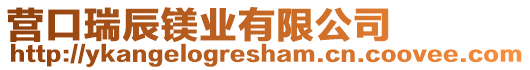 營口瑞辰鎂業(yè)有限公司