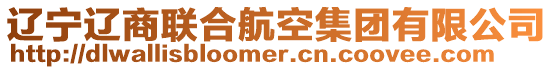 遼寧遼商聯(lián)合航空集團(tuán)有限公司