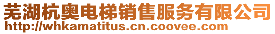蕪湖杭奧電梯銷售服務(wù)有限公司