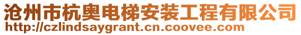 滄州市杭奧電梯安裝工程有限公司