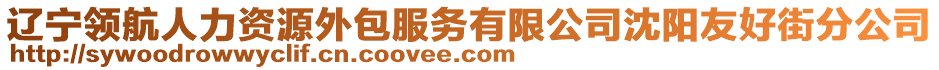 遼寧領(lǐng)航人力資源外包服務(wù)有限公司沈陽(yáng)友好街分公司