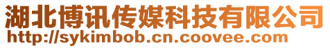 湖北博訊傳媒科技有限公司