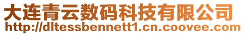 大連青云數碼科技有限公司