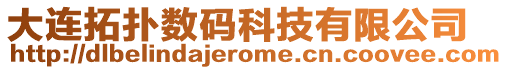 大連拓?fù)鋽?shù)碼科技有限公司