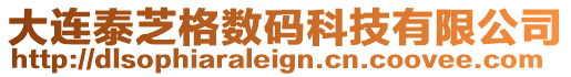 大連泰芝格數(shù)碼科技有限公司