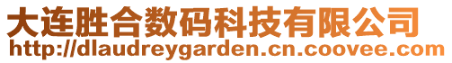 大連勝合數碼科技有限公司