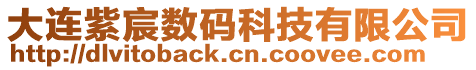 大連紫宸數碼科技有限公司