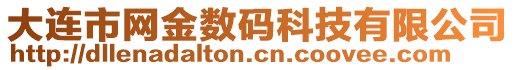 大連市網金數碼科技有限公司