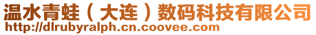 溫水青蛙（大連）數碼科技有限公司