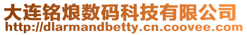 大連銘烺數(shù)碼科技有限公司