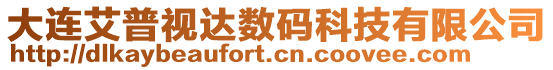 大連艾普視達數碼科技有限公司