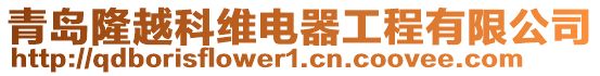 青島隆越科維電器工程有限公司
