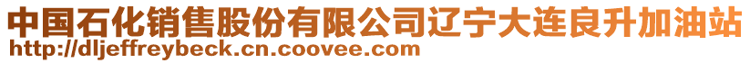中國石化銷售股份有限公司遼寧大連良升加油站