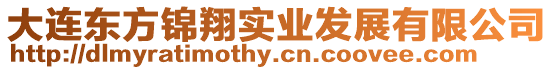 大連東方錦翔實(shí)業(yè)發(fā)展有限公司