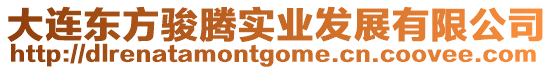 大連東方駿騰實(shí)業(yè)發(fā)展有限公司