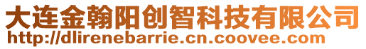 大連金翰陽創(chuàng)智科技有限公司
