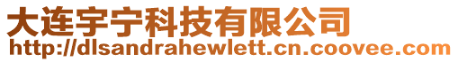 大連宇寧科技有限公司