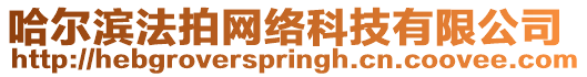 哈爾濱法拍網絡科技有限公司