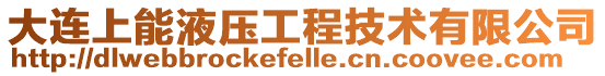 大連上能液壓工程技術有限公司