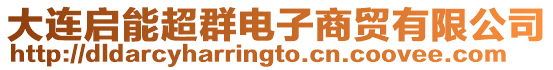 大連啟能超群電子商貿(mào)有限公司