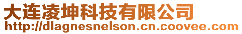 大連凌坤科技有限公司