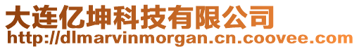 大連億坤科技有限公司