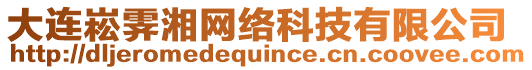 大連崧霽湘網絡科技有限公司