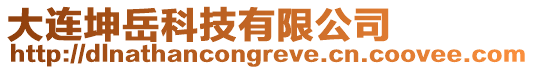 大連坤岳科技有限公司
