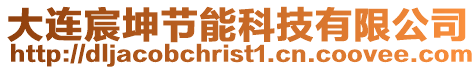 大連宸坤節能科技有限公司